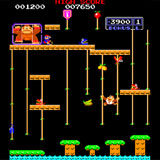  Donkey Kong Jr 