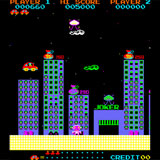  Jump Bug 