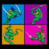  Ninja Turtles 