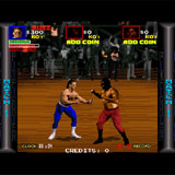 Pit Fighter 